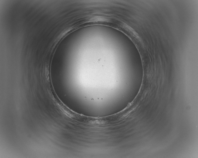 X0000074931321200609221629