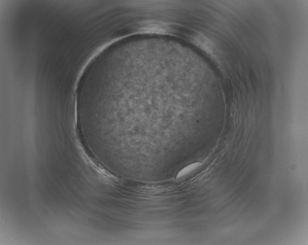 X0000074931323200609221629