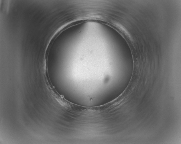 X0000074931324200609221629