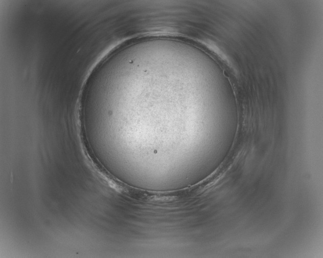 X0000074931325200609221629