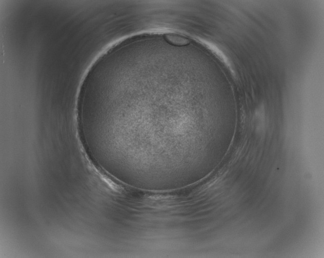 X0000074931327200609221629