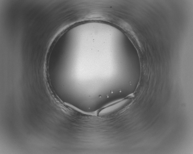 X0000074931328200609221629