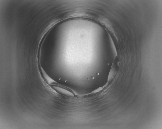 X0000074931330200609221629