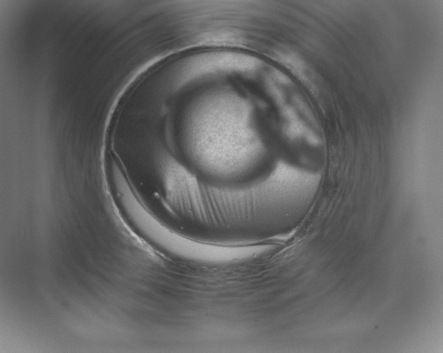 X0000074931331200609221629