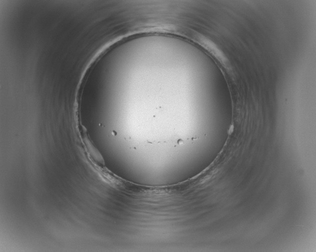 X0000074931332200609221629