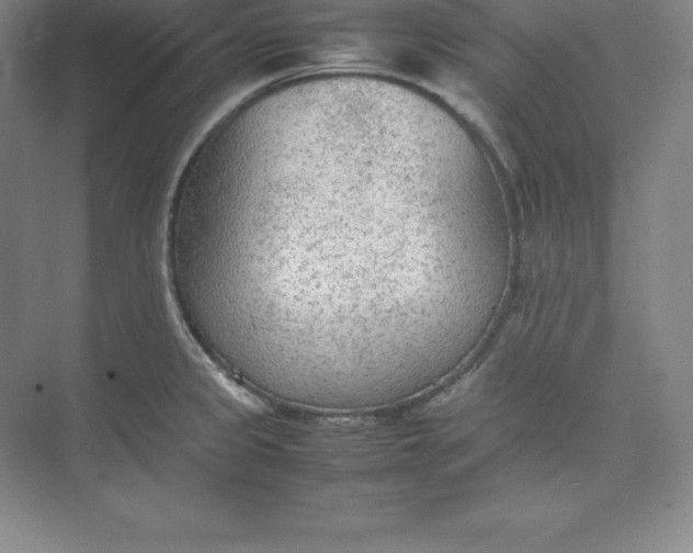 X0000074931333200609221629