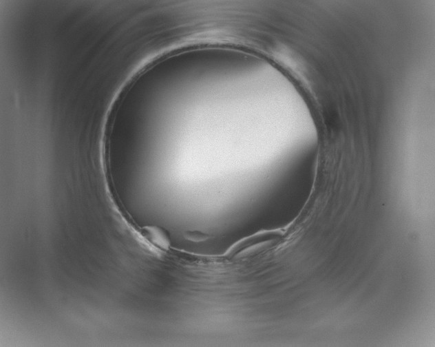 X0000074931334200609221629