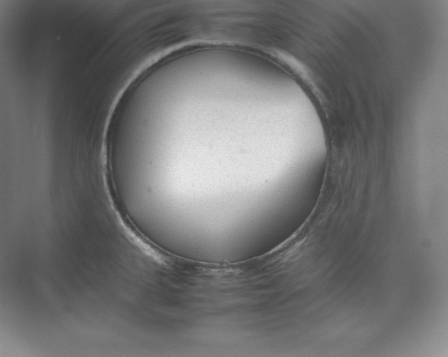 X0000074931335200609221629