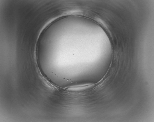 X0000074931336200609221629