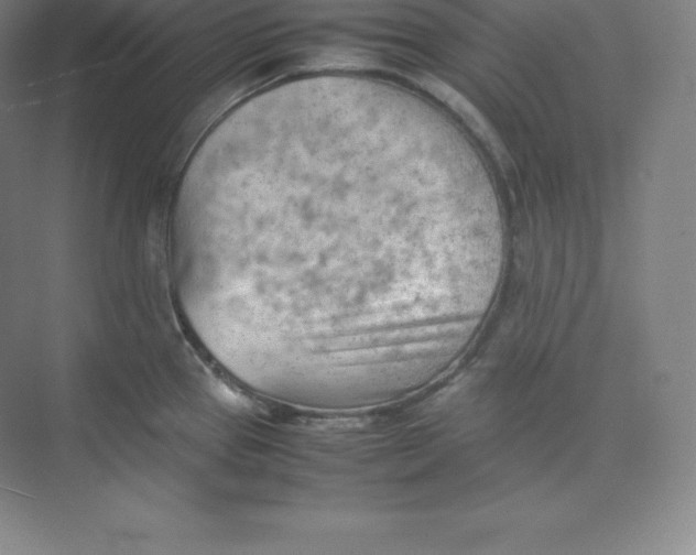 X0000074931337200609221629