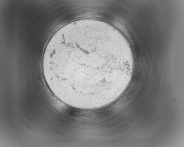 X0000074931338200609221629