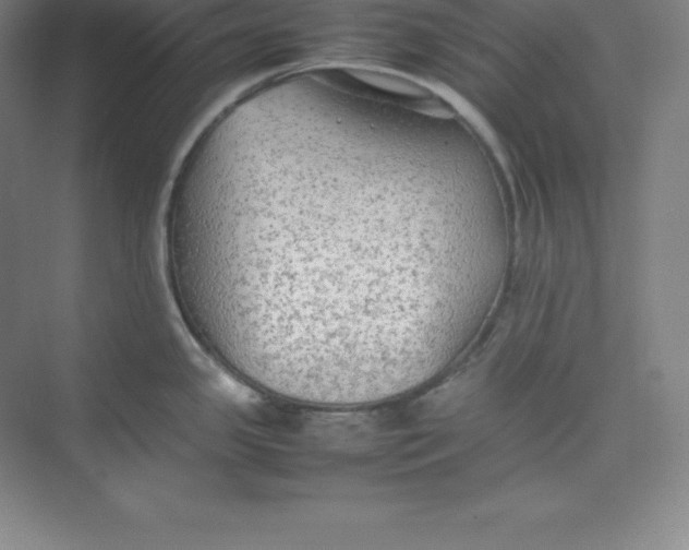 X0000074931341200609221629