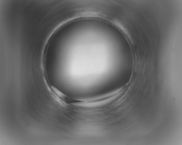 X0000074931342200609221629