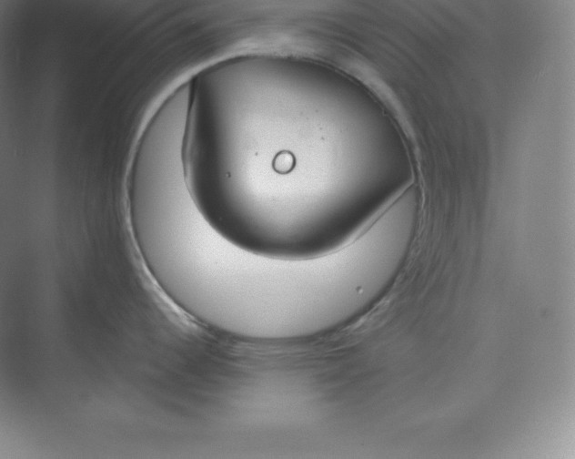 X0000074931344200609221629