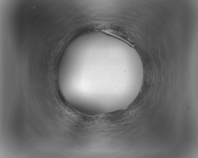 X0000074931345200609221628