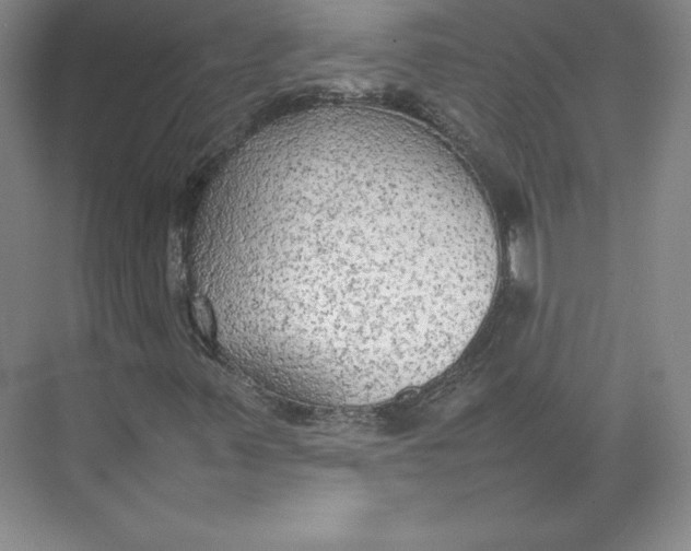 X0000074931347200609221628