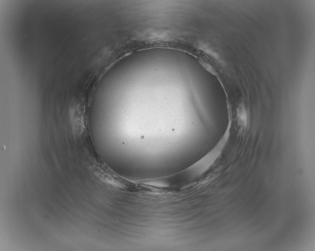 X0000074931348200609221628