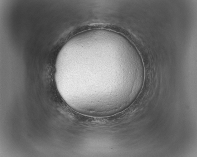 X0000074931351200609221628