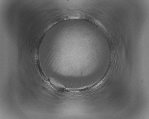 X0000074931353200609221628