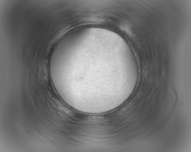 X0000074931354200609221628