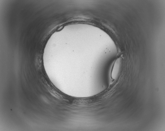 X0000074931355200609221628