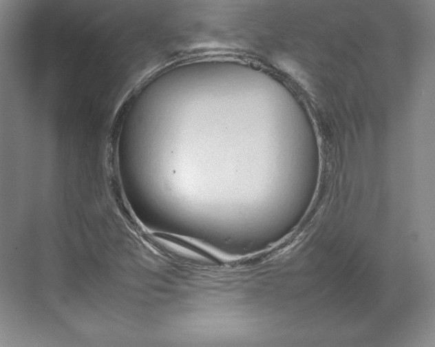 X0000074931357200609221628