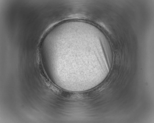 X0000074931358200609221628