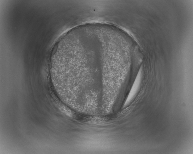 X0000074931359200609221628