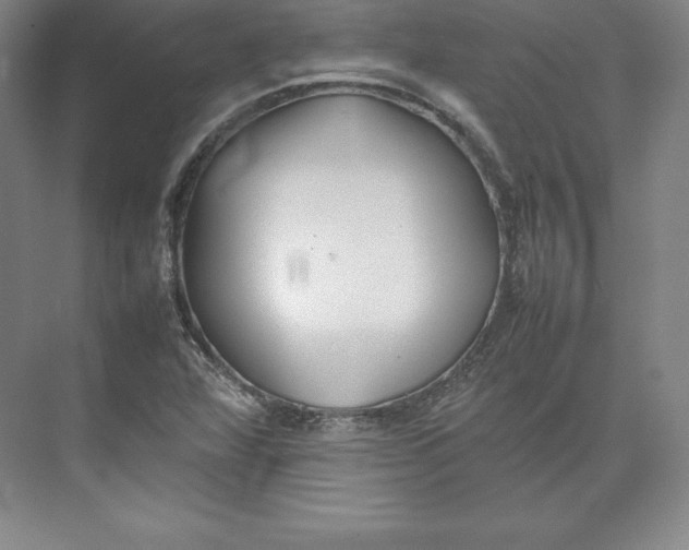 X0000074931360200609221628