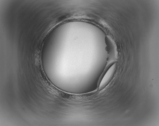 X0000074931361200609221628