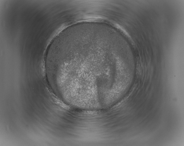 X0000074931362200609221628