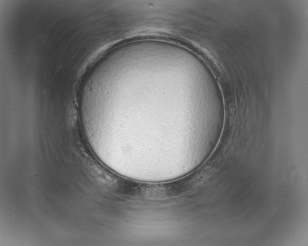 X0000074931363200609221628