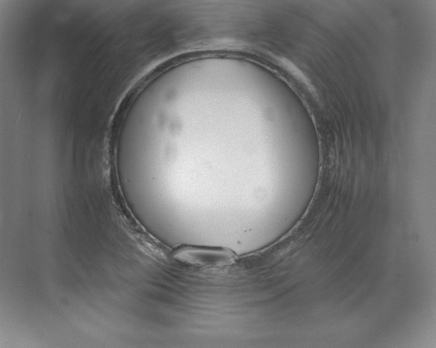 X0000074931364200609221628