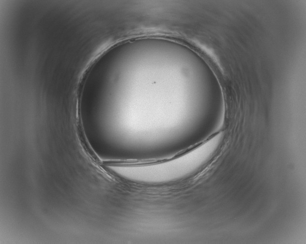 X0000074931365200609221628