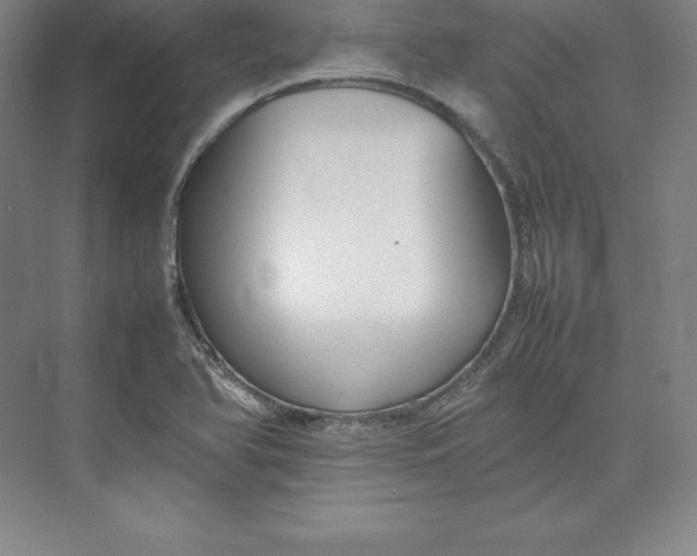 X0000074931366200609221628