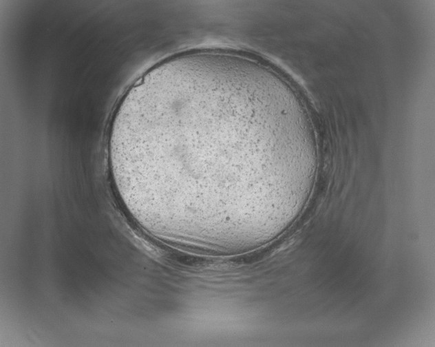 X0000074931367200609221628