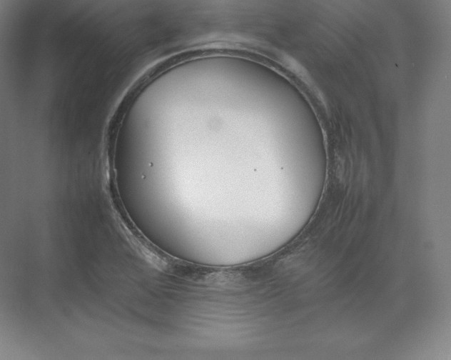 X0000074931368200609221628