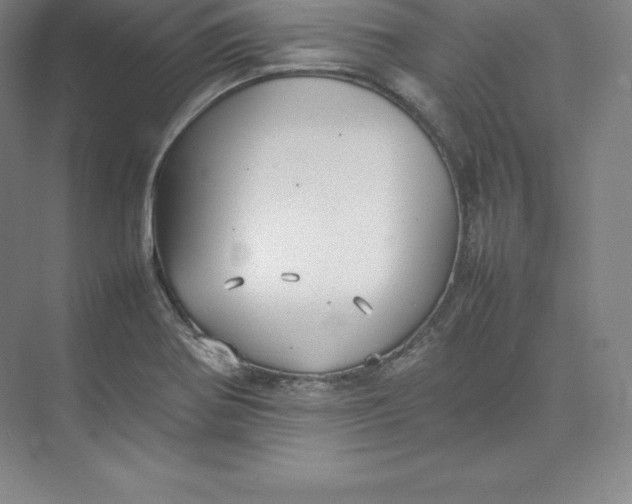 X0000074931370200609221628