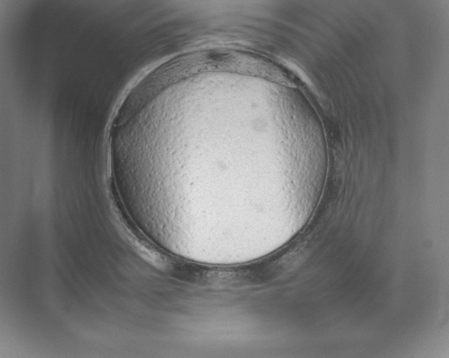 X0000074931371200609221628