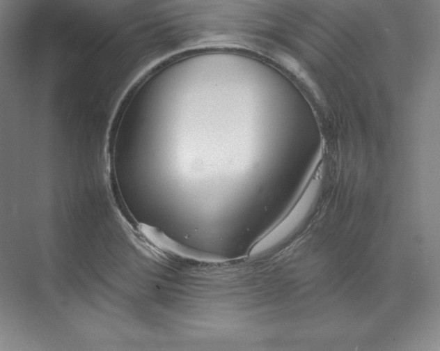 X0000074931372200609221628