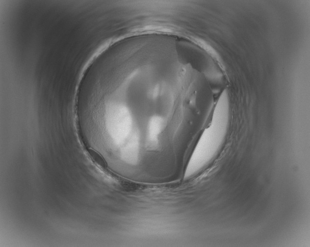 X0000074931373200609221628