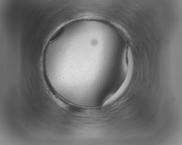 X0000074931375200609221628