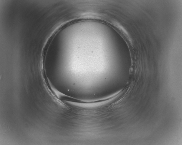 X0000074931376200609221628