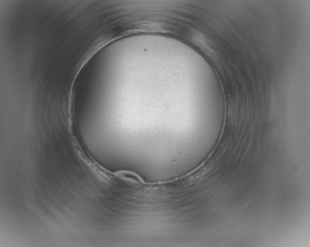 X0000074931378200609221628