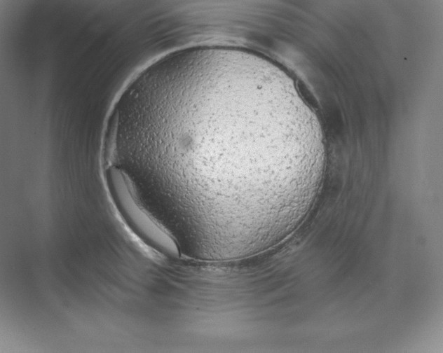 X0000074931379200609221628