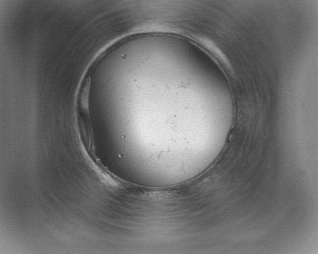 X0000074931380200609221628