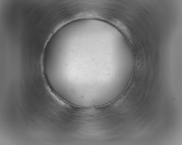 X0000074931382200609221628