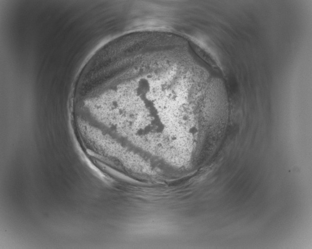 X0000074931383200609221628