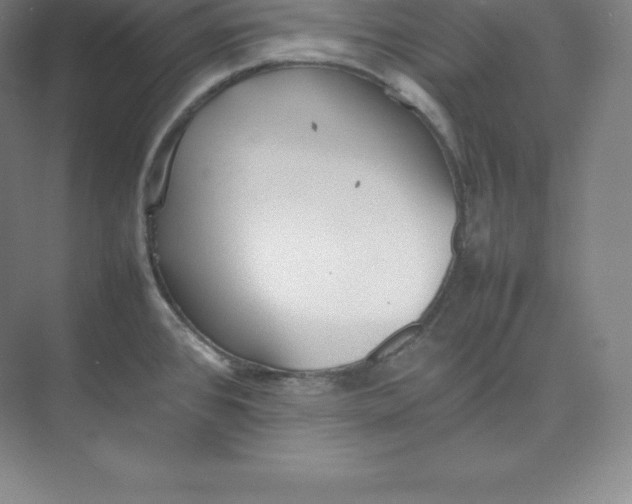 X0000074931384200609221628