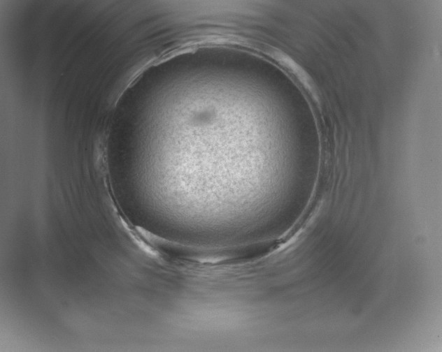 X0000074931385200609221628